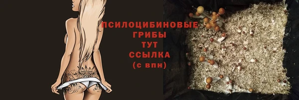ПСИЛОЦИБИНОВЫЕ ГРИБЫ Абинск