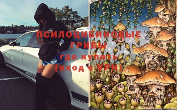 мдпв Алзамай