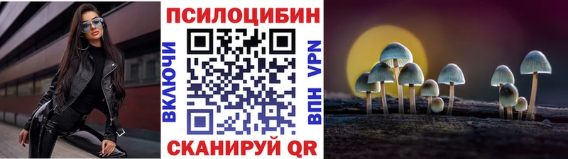 OMG зеркало  купить  цена  Красноармейск  Галлюциногенные грибы мицелий 