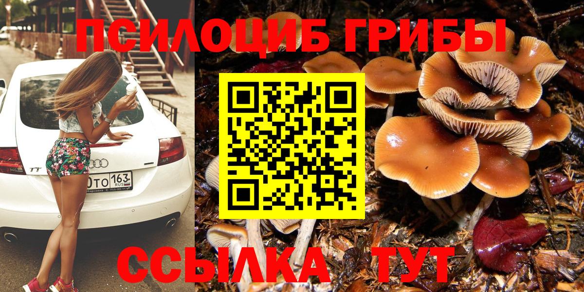 Красноармейск  Галлюциногенные грибы Magic Shrooms  Вход с VPN 